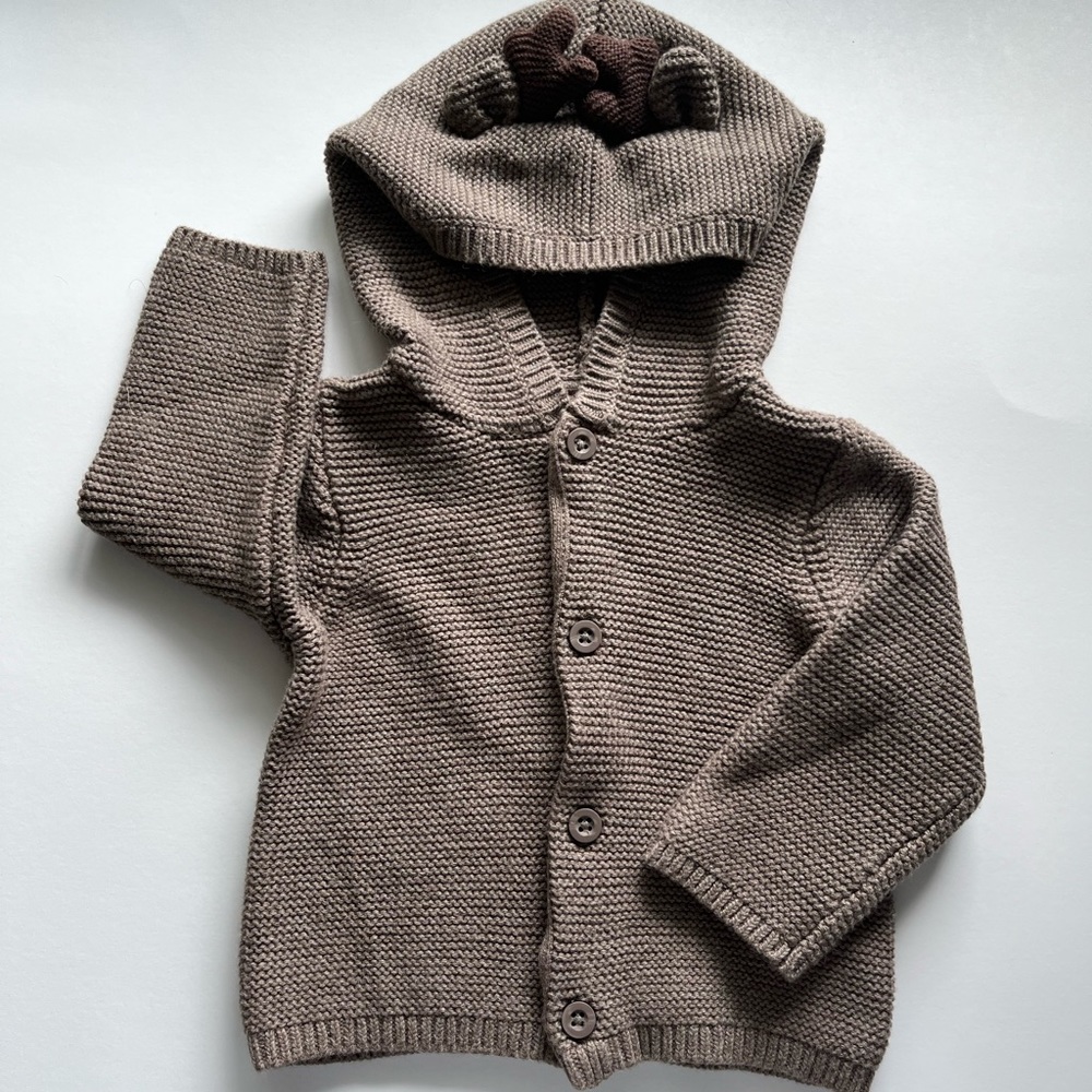 Carters moose sweater